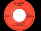 Private Outsider Electro Funk 45 HENRY LEE ROBERTS Halley's Comet/Spaces Jesus