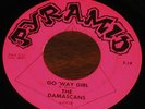 THE DAMASCANS   Go 'Way Girl / Diane   rare garage rock 45 on PYRAMID label