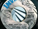 * NATURAL HIGH Bump Your Lady RARE FUNK SOUL B-BOY BREAKS Invictus 45 HEAR ?