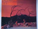 C.A. Quintet - Trip Thru Hell LP  1983 Psycho Reissue RARE Psych UK Import NM
