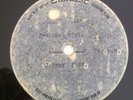 Johnny Kidd Jealous Girl Rare EMIdisc Acetate 78
