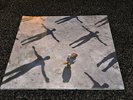 Muse Absolution 12