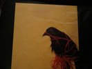 Death Cab For Cutie Transatlanticism (Sonic Boom) Original 180g 2x LP. Rare.
