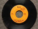 The Vestells - Won't You Tell Me? RARE 1966 GARAGE FUZZ 45 on BO JO