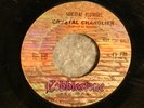 HEAVY GARAGE WITH KILLER FUZZ CRYSTAL CHANDLIER SUCIDAL FLOWERS