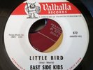RARE GARAGE.....EAST SIDE KIDS (VALHALLA)