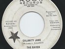 MONSTER 1960s Garage Fuzz PROMO 45 - THE RAVEN 