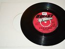 The Clan - Na Na Hay Hay Goodbye / King Stitt - Musical Bop - BULLET BU430