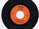 Electras-Little Girl Of Mine / Mary mary-Ruby-Doo 2-Northern Soul
