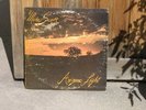 MIKE SCOTT Arizona Light private AOR SSW rare lp