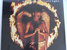 Marillion Fish  Afraid Of Sunlight Rare UK Only LP 1995 Hogarth Prog Mint Sealed