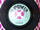 Tasmanians-I Can't Explain This Feeling Florida garage 45