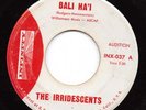 SURF INSTROS--IRRIDESCENTS--