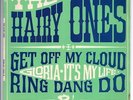rare french  EP  THE HAIRY ONES  (r.Stone-Them)