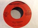 FAT & HUNGRY THE STREAKER 45 ORIG RARE GARAGE PUNK FUZZ PSYCH WATERMELON RECORDS