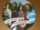 THE DOORS THE LOUNGE LIZZARD SHAPED 45 PICTURE DISC**SUPER RARE**MADE IN EEC