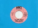 MORRIS CHESTNUT too darn soulful AMY dj northern soul 45 RARE *Listen*