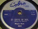 Blues Cobra  78 Magic Sam  