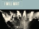 Mumford and Sons I Will Wait 7
