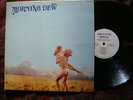 MORNING DEW 1970 roulette garage fuzz psych monster stereo nm  wlp promo ex