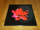 Communique Poison Arrows Red Vinyl LP American Steel