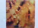 Steamhammer-Reflection-1969 U.K CBS LP- Textured Unipak Cover
