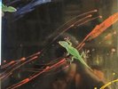 CHAMELEON YANNI TECHNO-COLOR SEALED VINYL 1982 RARE USA PLATINUM CHARLIE ADAMS