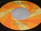 Hear Rare Hot Rod 45: The Road Runners Gary Paxton Torque 427 & Cute Little Colt