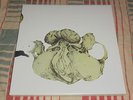 COIL-Ape of Naples / The New Backwards LP BOX SET RARE