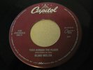 Blind Melon- Galaxie/Toes Across The Floor 7