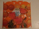 BRIAN WILSON THAT LUCKY OLD SUN US 180 GRAM AUDIOPHILE LP AUTOGRAPHED BEACH BOYS
