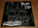 CONFUSE Stupid Life 12