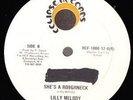 LILLY MELODY - SHE'S A ROUGHNECK, digital eclipse, listen
