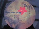 Paul McCartney & Wings WILD LIFE UK 1ST APPLE PRESS -1/-1 PLAYS MINT MINUS