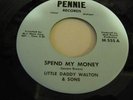 Little Daddy Walton & Sons on Pennie (Michigan label)