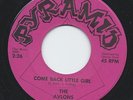 PRIVATE 1966 Garage 45 - THE AVLONS 