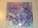 Disque  Vinyle 33 T Amon Düül II Phallus Dei