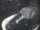 VOICE CRACK Moslang Guhl UK LP NEW experimental electronic
