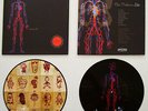 MELVINS Freak Puke LP PICTURE DISC/300 Gary Taxali Bulls Bees 1983 Lite AmRep