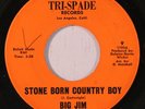 rare Soul Funk Blues 45 BIG JIM stone born country boy TRI-SPADE Hear