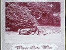 WATER INTO WINE BAND – HARVEST TIME: EX+ - Folk Prog Monster Mega rare