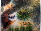 PINK FLOYD A Saucerful Of Secrets, MONO, orig. blue/black Columbia SX 6258