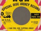 Mamie Lee The show is over/I can feel him slipping MGM 13850 dj northern soul 45