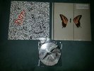 Paramore Vinyl Riot Brand New Eyes