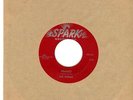 THE ROBINS 45rpm *RARE* Doo Wop (Spark 107) Framed *LISTEN-2-IT*