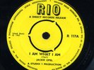 Jackie Opel - I Am What I Am / Jackie Mittoo & Skatalites - Devil's Bug UK 7