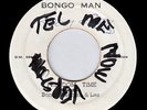 Bongo Herman & Les 