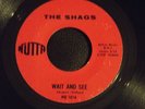 THE SHAGS Wait And See 45 Nutta 101 1965 Garage Psyc RARE W AUTOGRAPHS