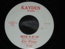 THE SHAGS Breathe In My Ear 45 Kayden 408 RARE Garage Psyc 1967
