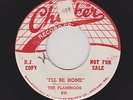 Classic '55 Doowop FLAMINGOS I'll Be Home Nice M- CHECKER Promo HEAR & LOOK NOW